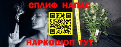 бутик Гай