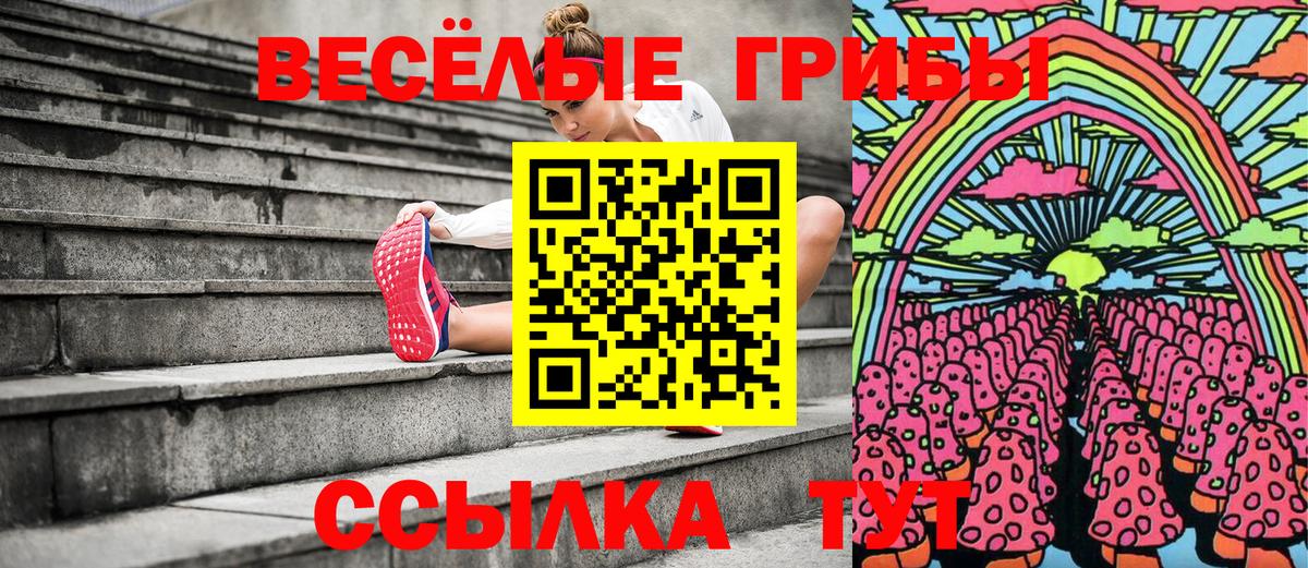 Мелеуз  Псилоцибиновые грибы ЛСД  Псилоцибиновые грибы Psilocybine cubensis  Вход с VPN 